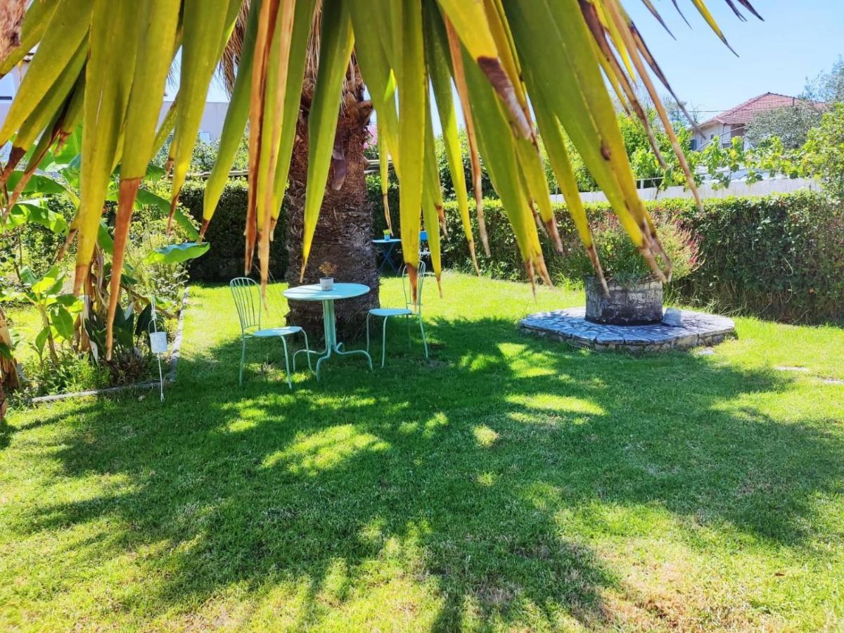 Morfi Appartement Kalligoni Buitenkant foto